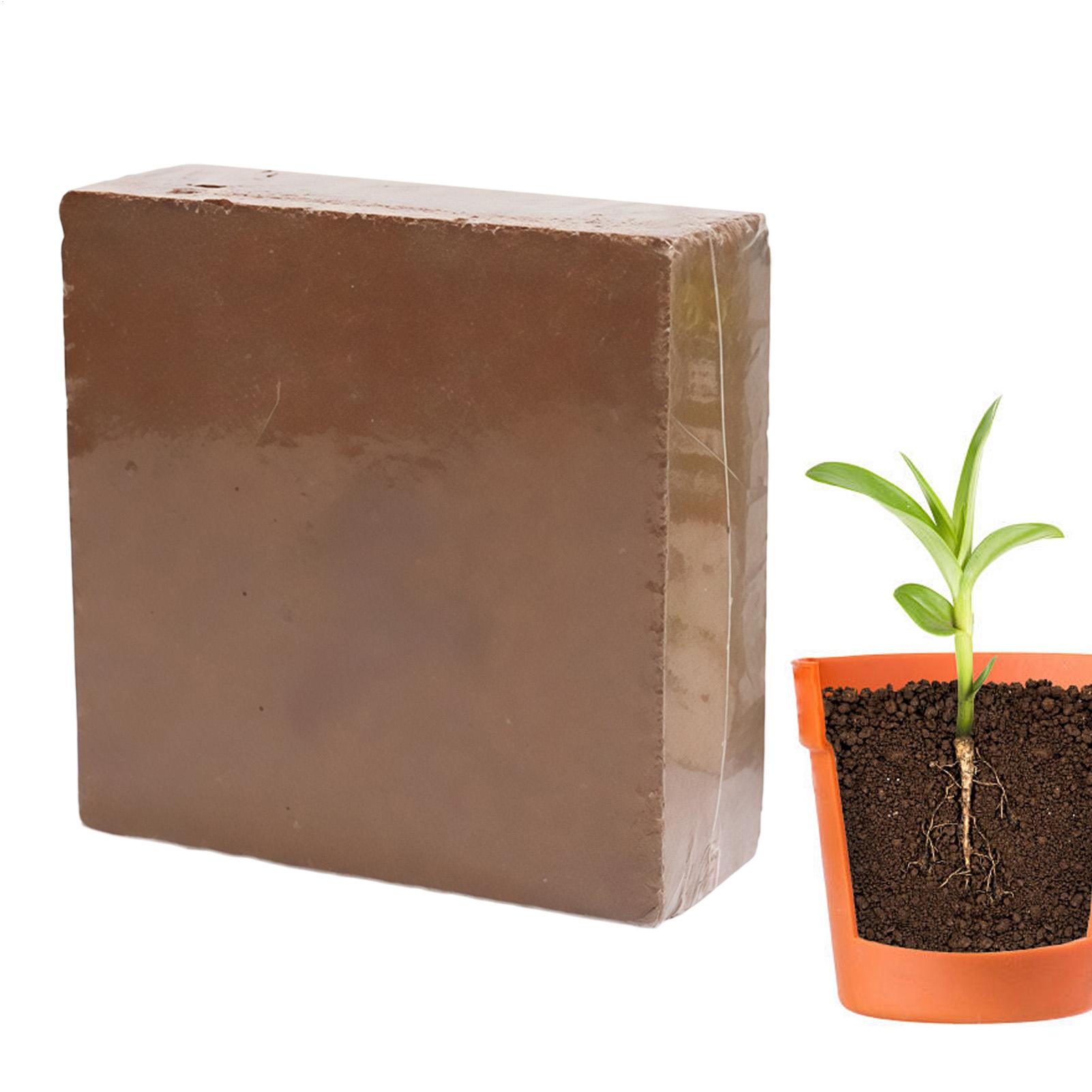 ดินปลูกบอนไซแบบอัดแน่น 300 กรั - Coco Coir Block บทวิจารณ์และราคา