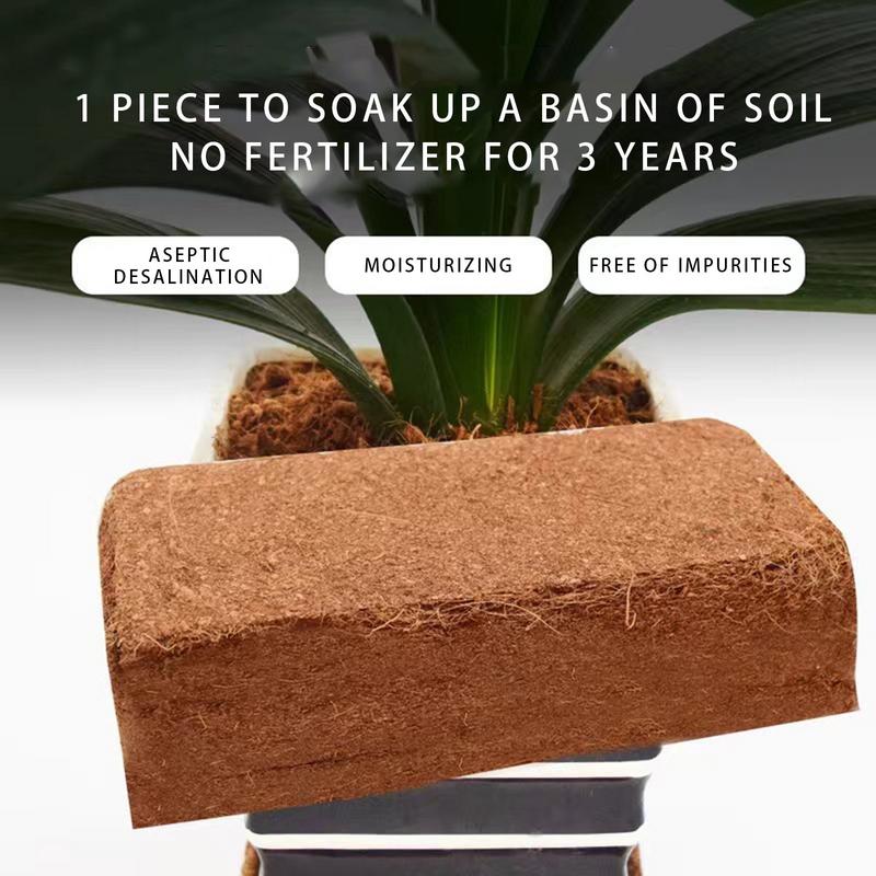อิฐ Coco Coir ดิน Coco Coir อิ - Coco Coir Block บทวิจารณ์และราคา