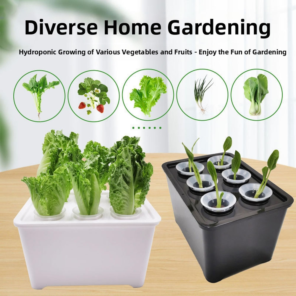 ชุดถังปลูกต้นไม้สีขาวดำ สำหรับ - Urban Farming Usa บทวิจารณ์และราคา