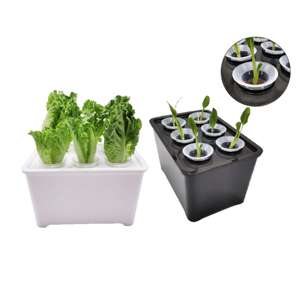 ชุดถังปลูกต้นไม้สีขาวดำ สำหรับ - Urban Farming Usa บทวิจารณ์และราคา