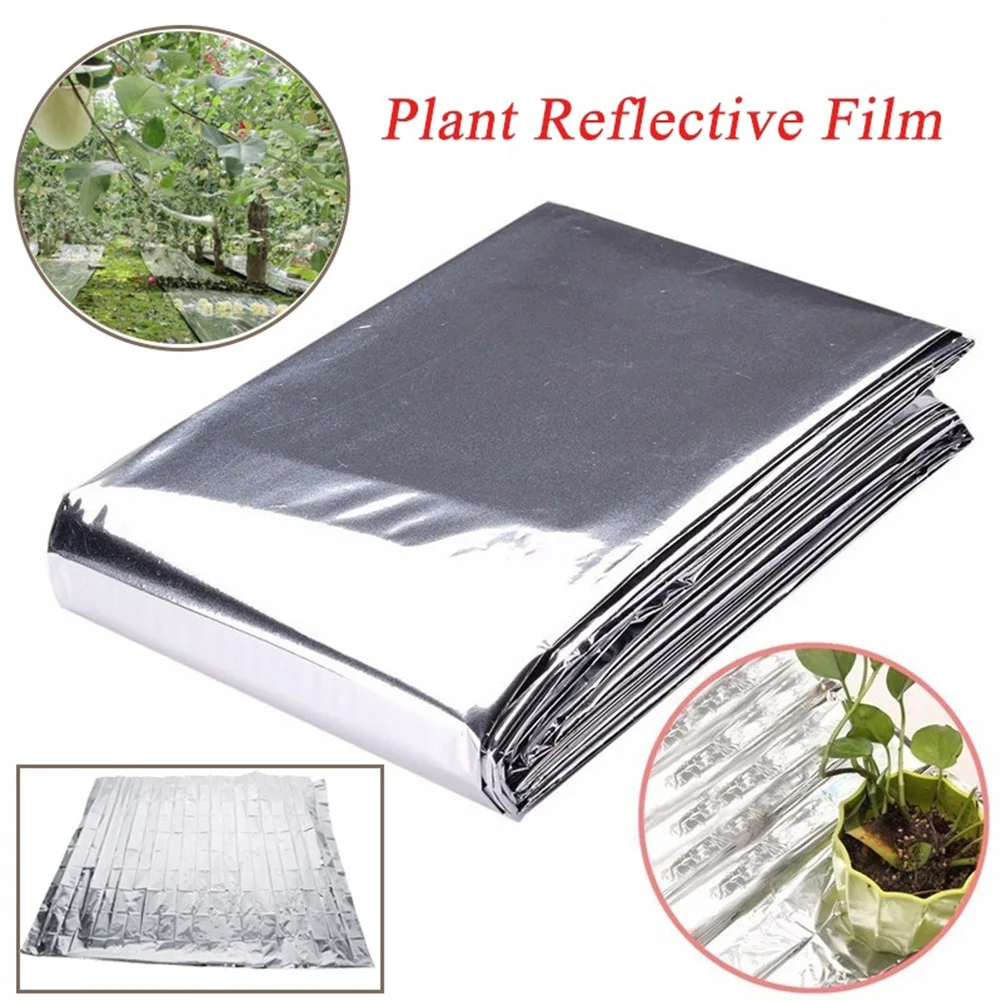 ฟิล์มไมลาร์สะท้อนแสงสูงสีเงินข - Grow Tent 4X4 บทวิจารณ์และราคา