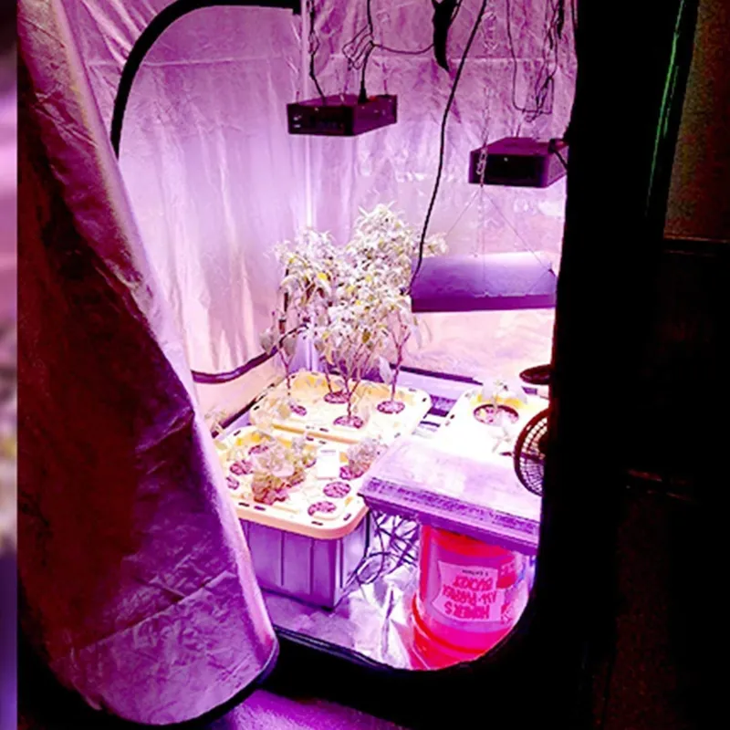 เต็นท์ปลูกต้นไม้ในร่มรุ่นใหม่  - Grow Tent 4X4 บทวิจารณ์และราคา