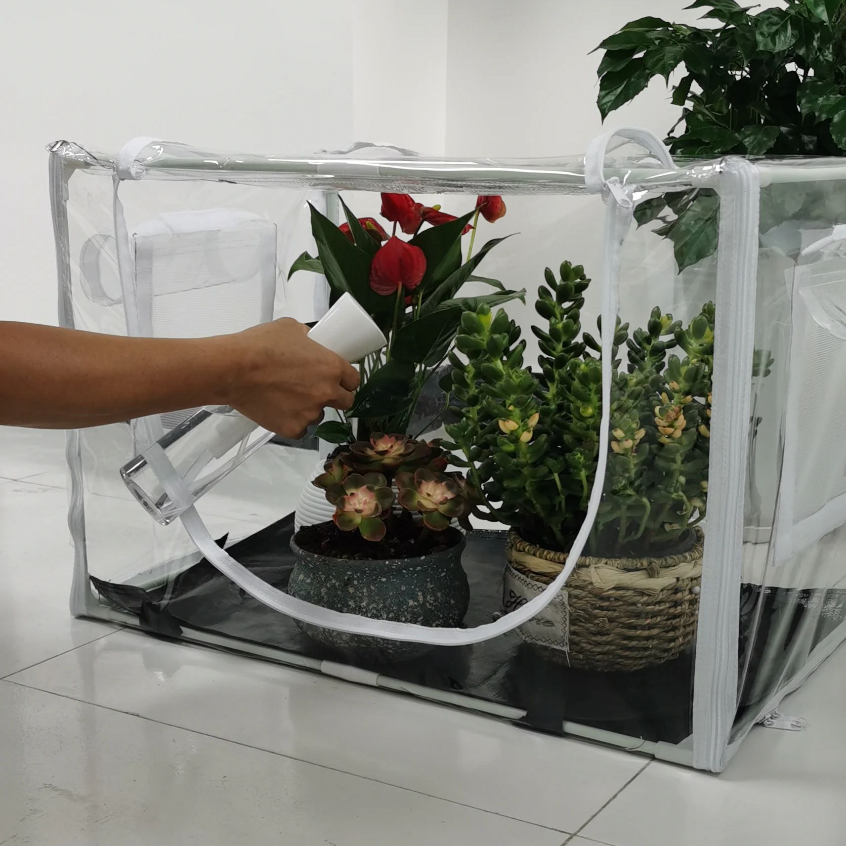เรือนกระจกขนาดกะทัดรัดสำหรับปล - Grow Tent 4X4 บทวิจารณ์และราคา