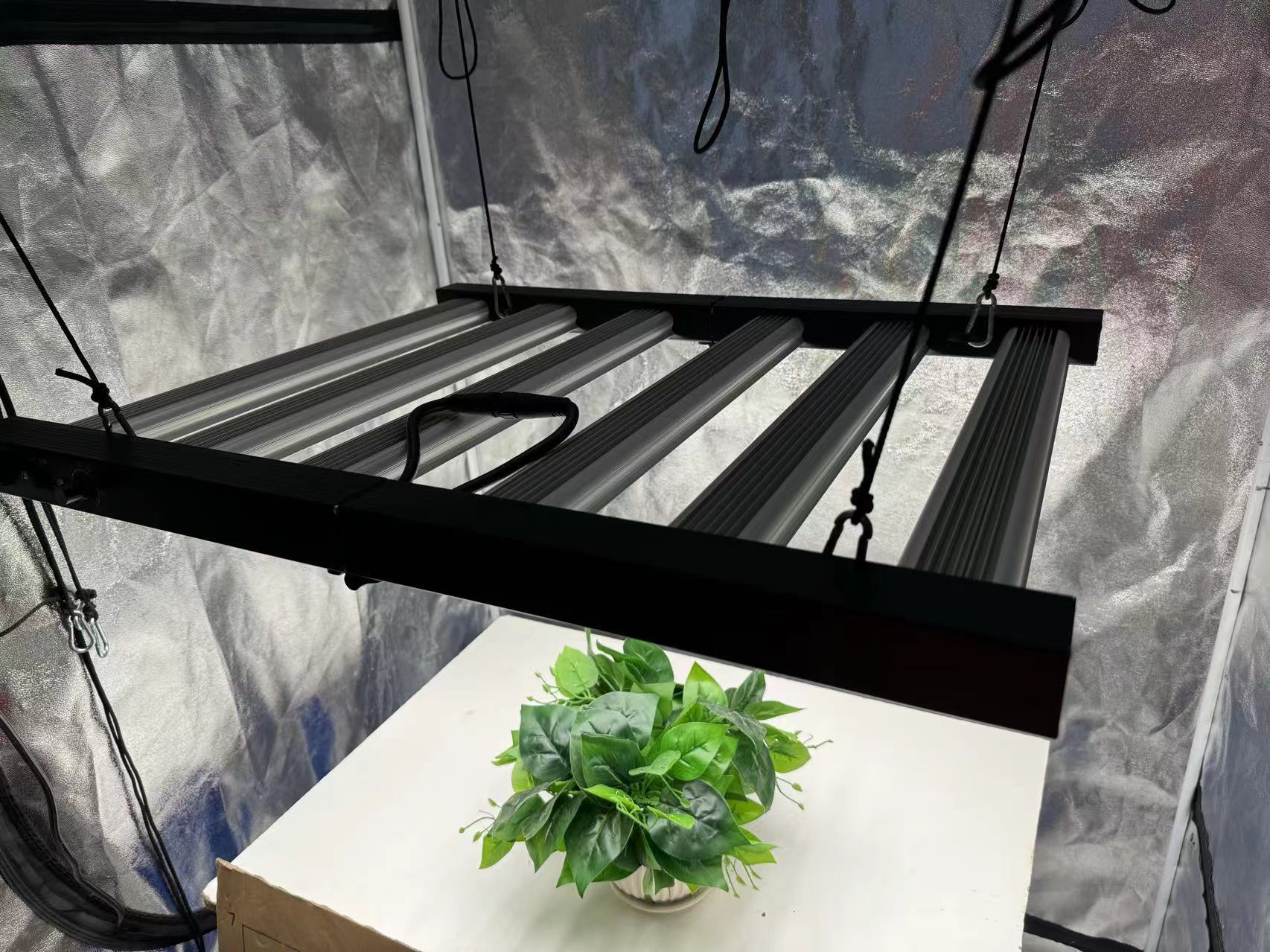 ชุดปลูกต้นไม้ในร่มแบบครบชุด 4x - Grow Tent 4X4 บทวิจารณ์และราคา
