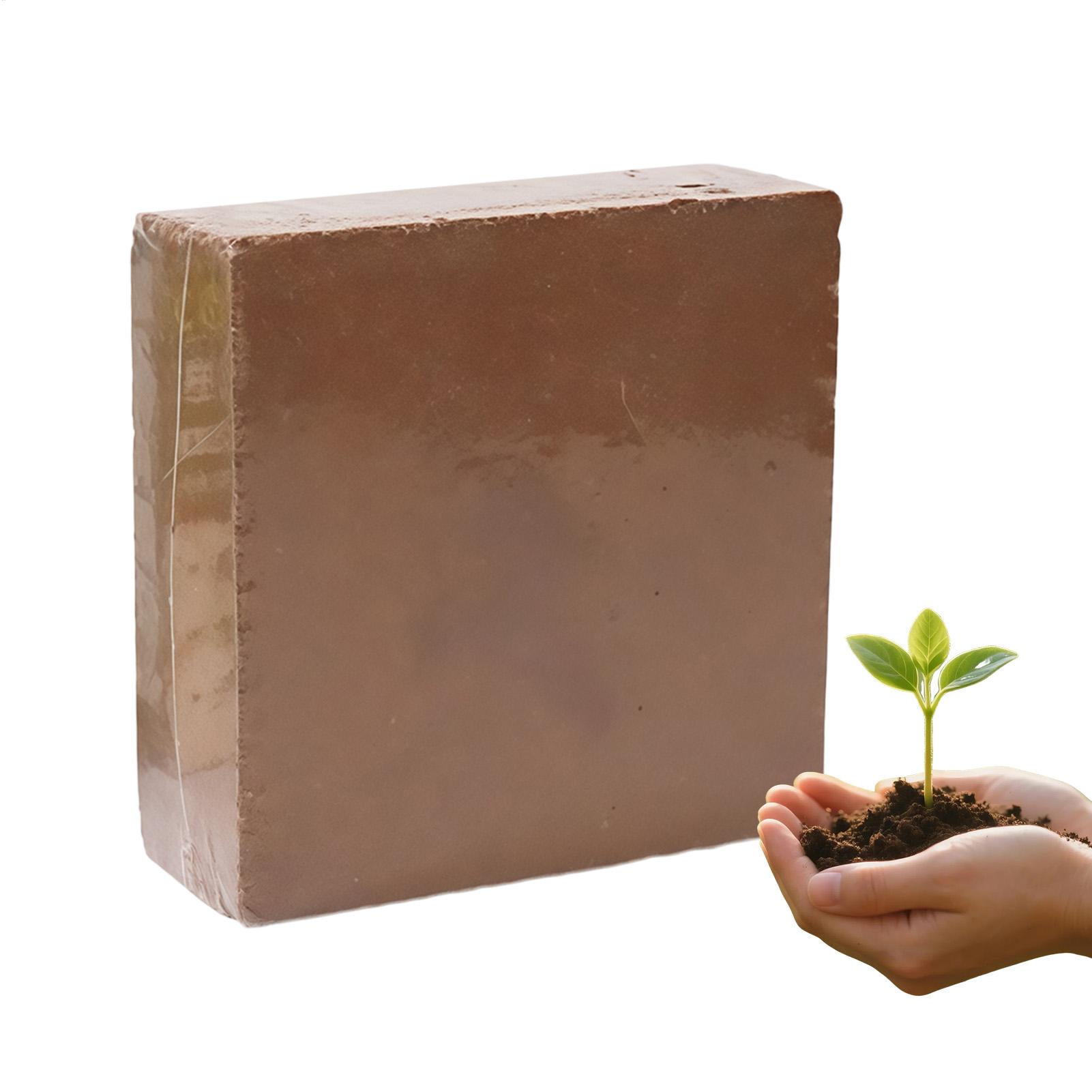 ดินออร์แกนิค 300 กรัม ดินอัดแท - Coco Coir Block บทวิจารณ์และราคา